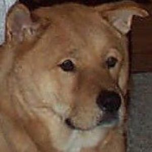 Meet your Posher, Buster